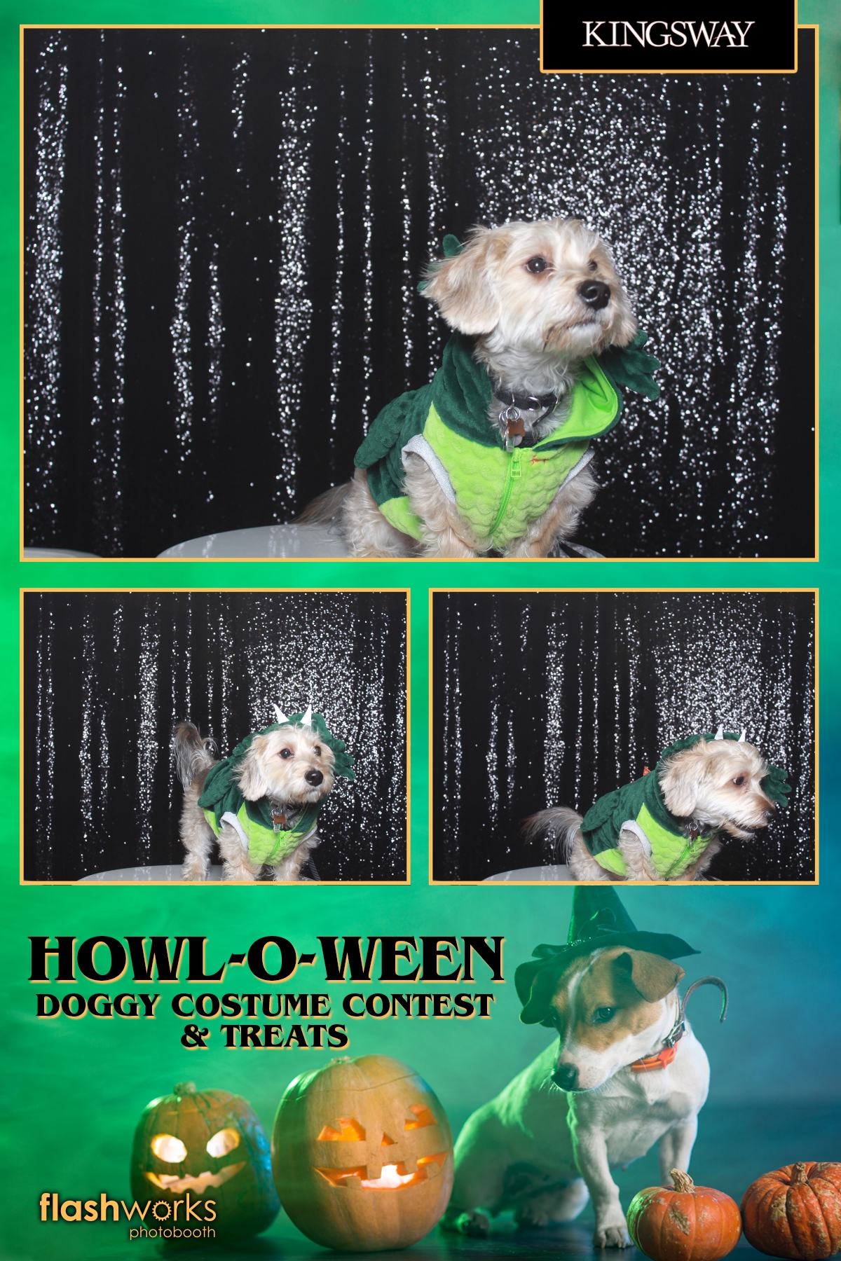Kingsway Howl-O-Ween Doggy Costume Contest | View more photos from the event at gallery.flashworksphotobooth.com/u/FlashworksPhotoboothInc/Kingsway-Howl-O-Ween-Doggy-Costume-Contest